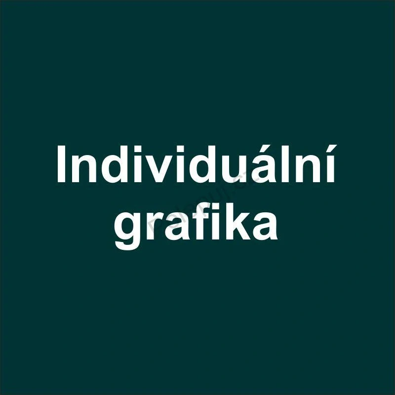 Individuální grafika