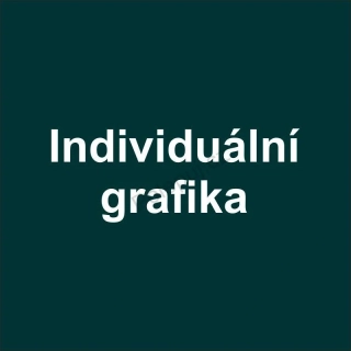 Individuální grafika